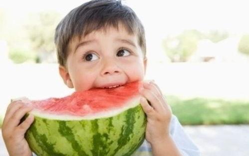 吃瓜搞笑系统娱乐圈小说,吃瓜搞笑，笑料百出